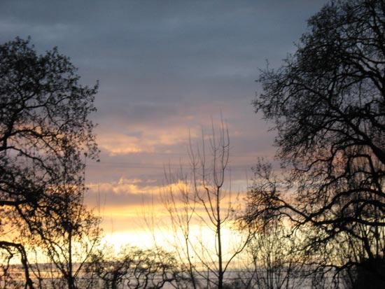 12 December 2009