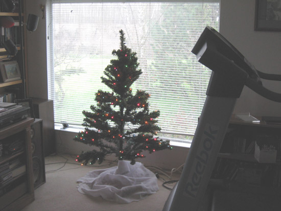 13 December 2009