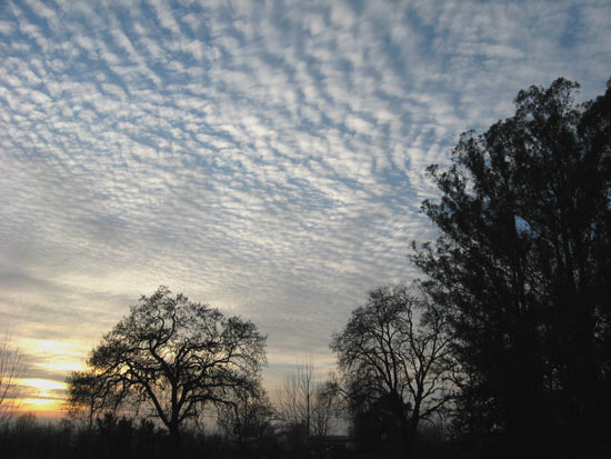 19 December 2009