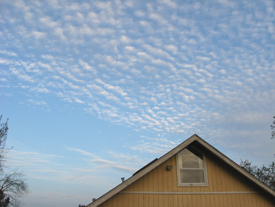 19 December 2009