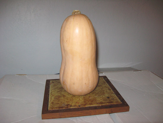 23 December 2009
