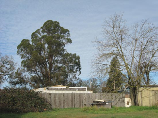 30 December 2009