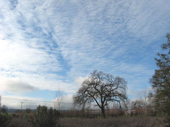 30 December 2009