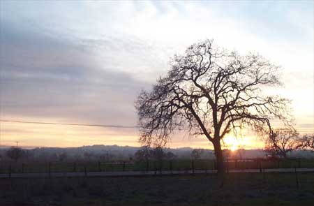 another sunset