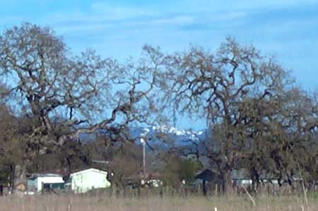 snow in Sonoma County (look closely)