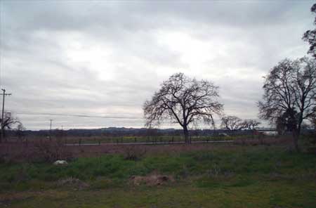 gray sunset