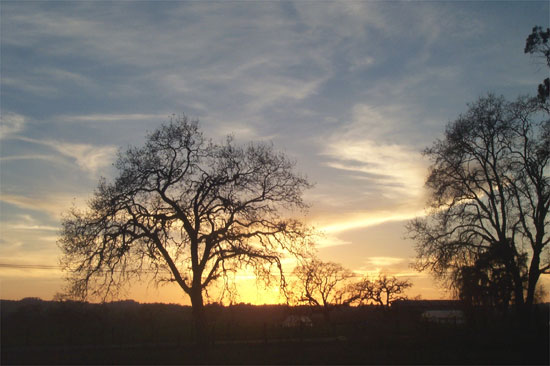 sunset