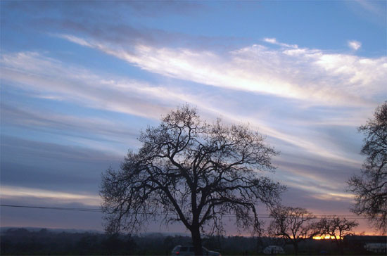 sunset