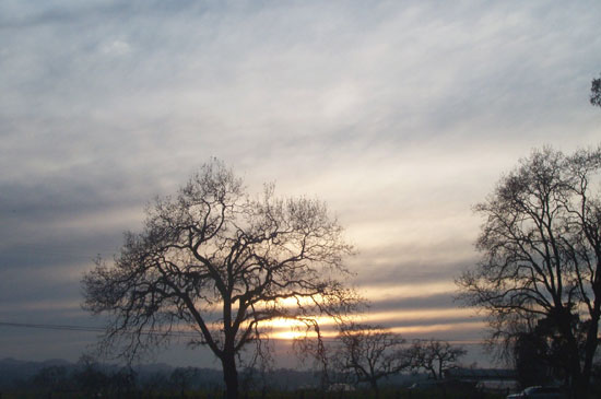 gray sunset
