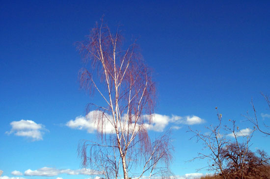 clouds