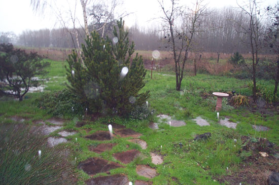 16 February 2004