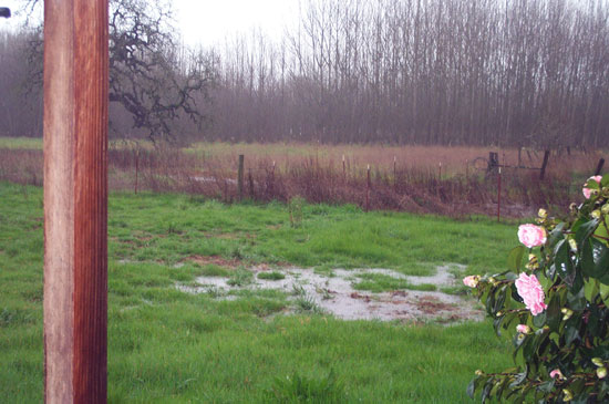 16 February 2004