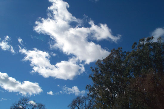 18 February 2004
