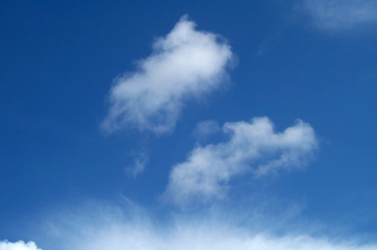28 January 2005
