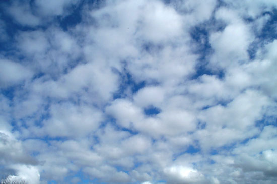 7 February 2005