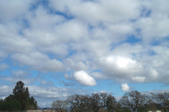 7 February 2005