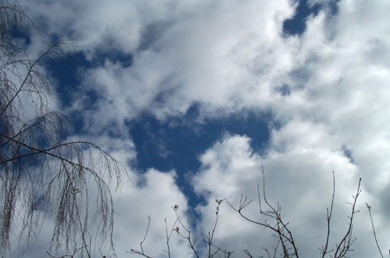 7 February 2005