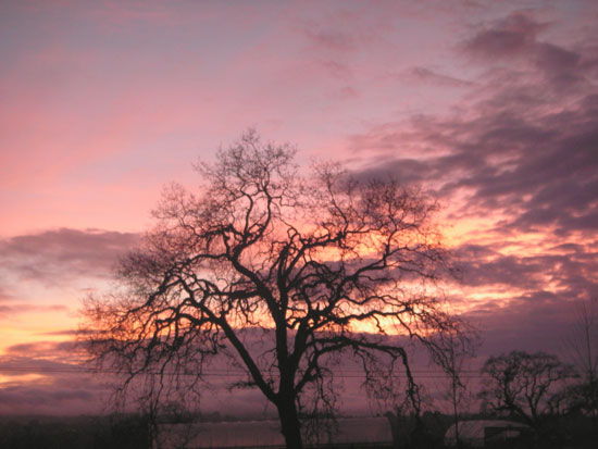 2 February 2006