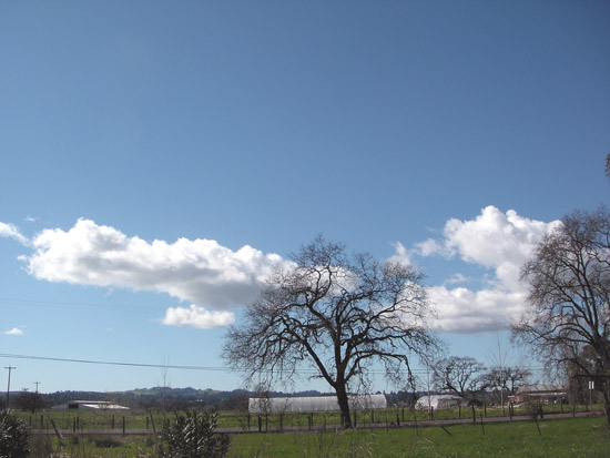 15 February 2006