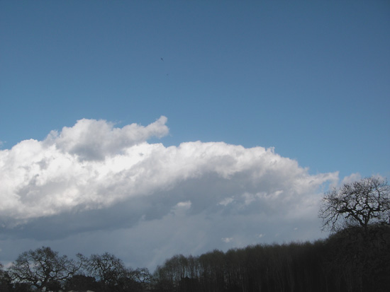 15 February 2006