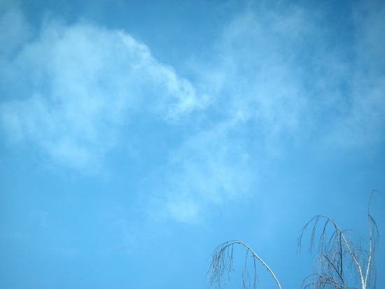 18 February 2006