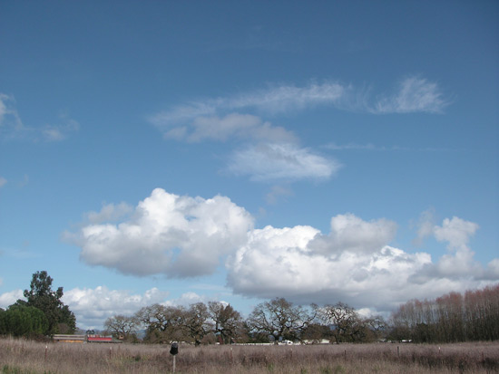 11 February 2007