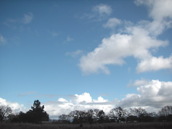 22 February 2007