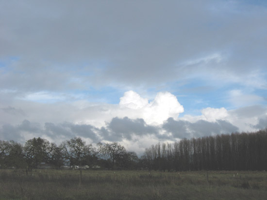 5 February 2009