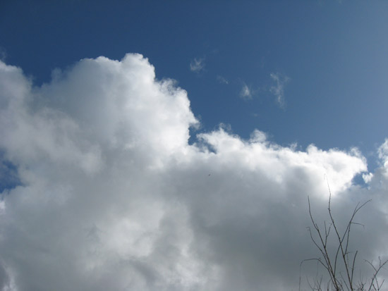 16 February 2009