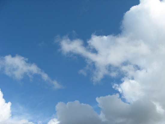 16 February 2009