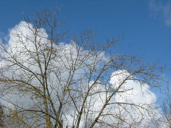 16 February 2009