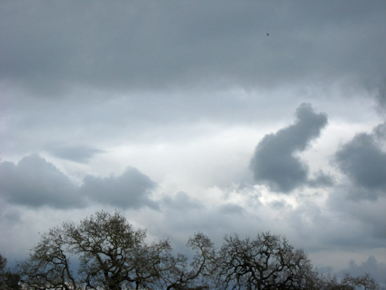 25 February 2009