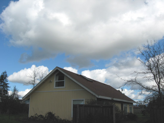 26 February 2009