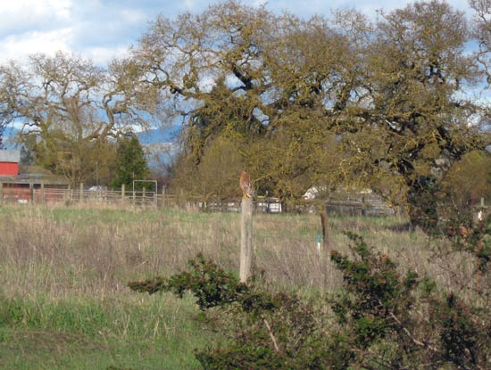 26 February 2009