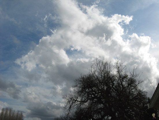 5 February 2010