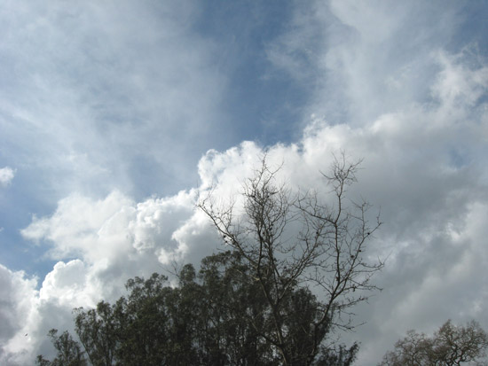 5 February 2010