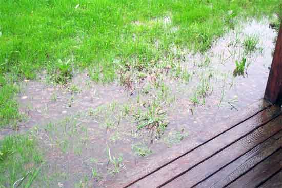good for growing rice