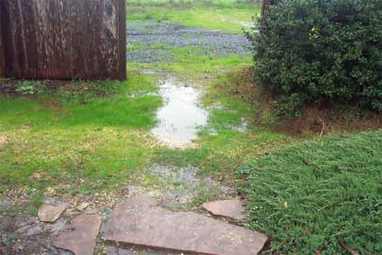 puddles