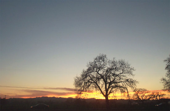 sunset