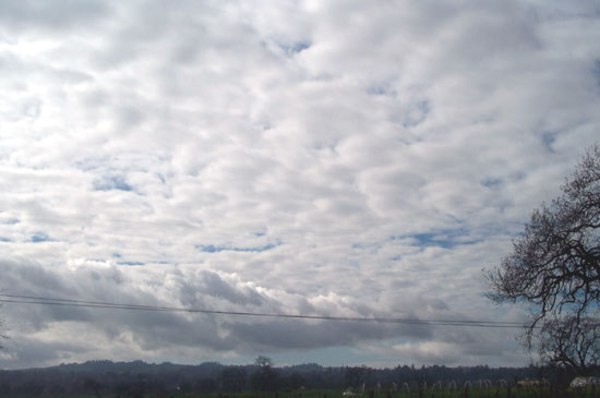 clouds