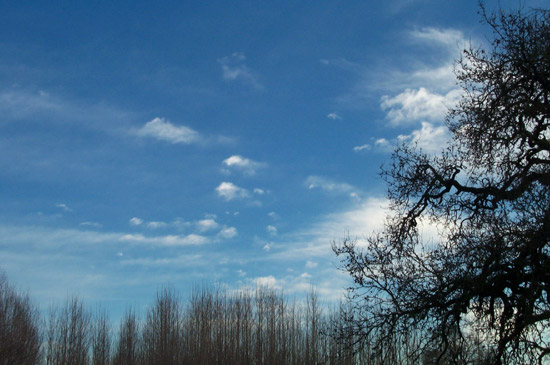 5 January 2004
