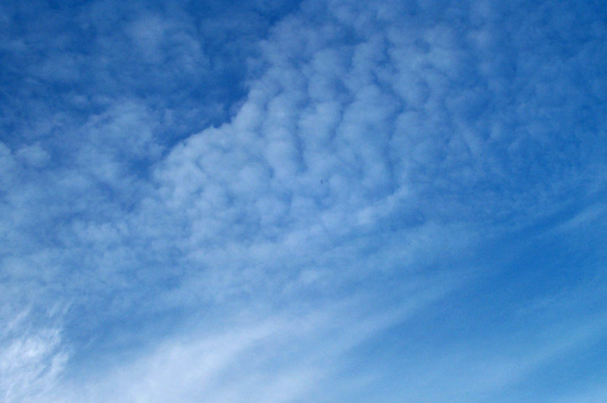 17 January 2004