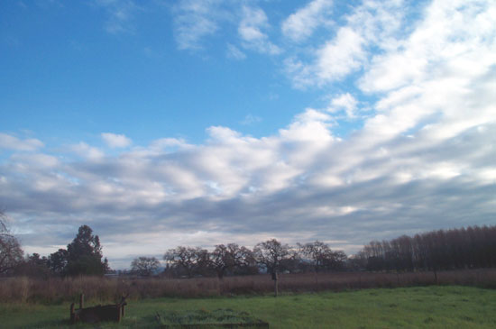 3 January 2005