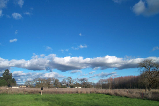 11 January 2005