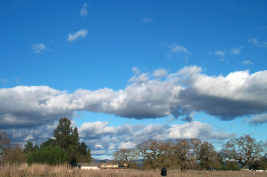 11 January 2005