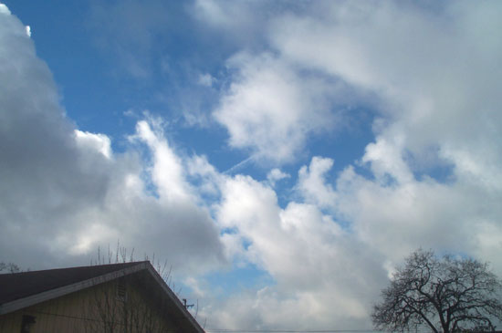29 December 2004