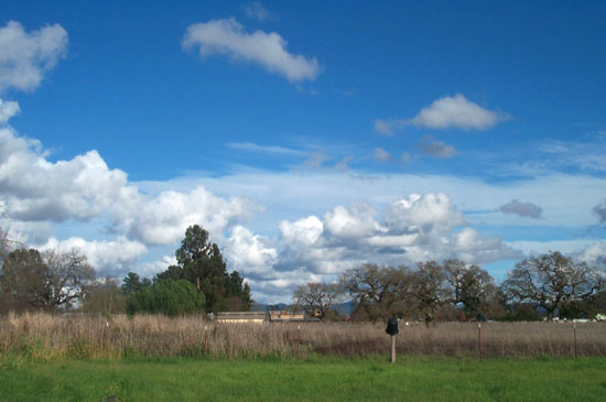 29 December 2004
