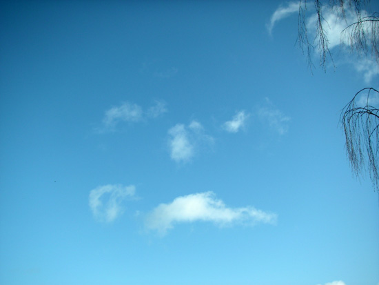 7 January 2006