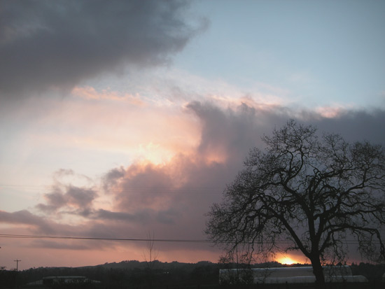 18 January 2006