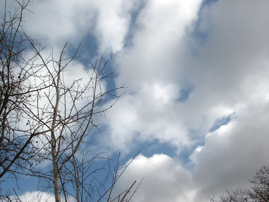 31 December 2005